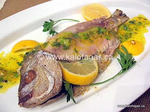 Greek Fish Recipe