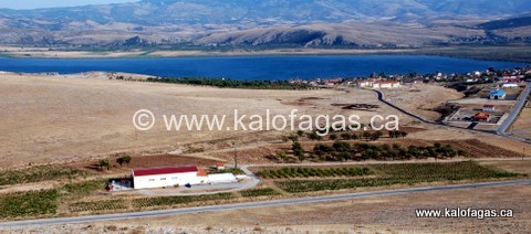 winery-shot-side