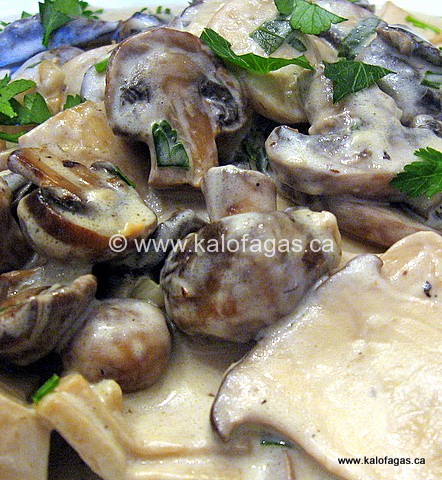 img_3258 img_3258