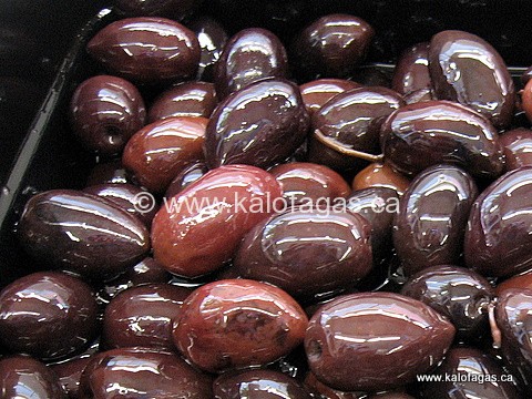 img_4056 img_4056