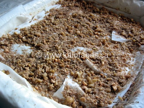 img_4136 img_4136