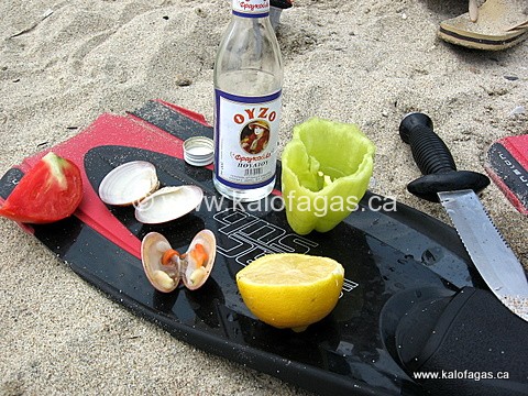 A diver's flipper becomes a beachside platter