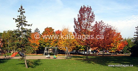IMG_8199