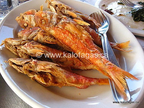 IMG_9075