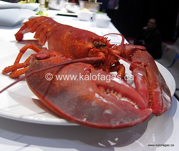 what is lobster stock used for