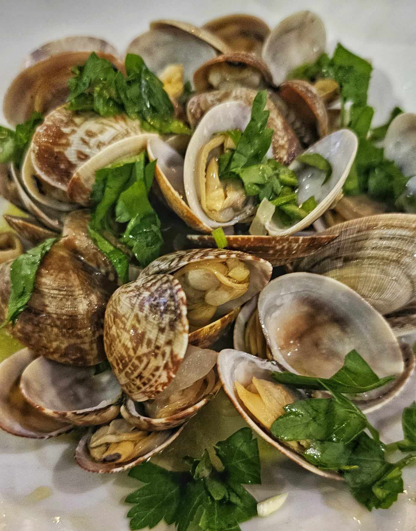 Fresh Manila Clams